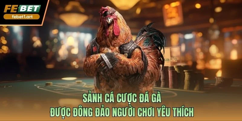 Sảnh cá cược đá gà được đông đảo người chơi yêu thích